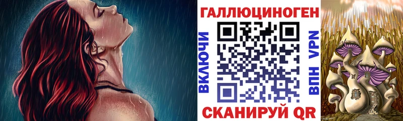 где можно купить наркотик Переславль-Залесский Псилоцибиновые грибы мицелий